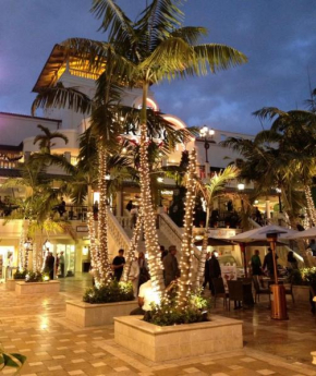 Coconut Grove Green Day’s